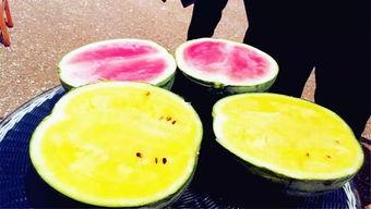 银川吃瓜爆料,揭秘当地美食背后的故事