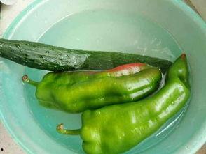 鸡盒怎么吃瓜,创意烹饪新体验