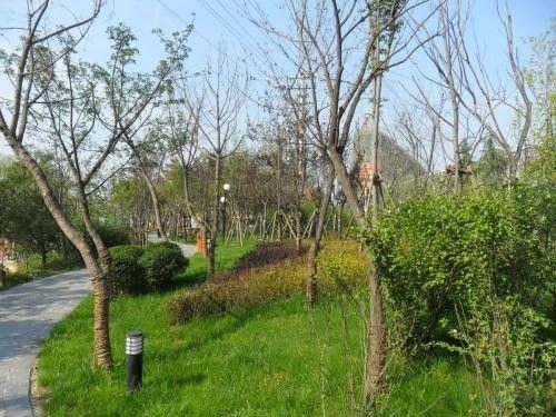 成都沙河公园 吃瓜,夏日“吃瓜”休闲胜地探秘