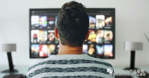 吃瓜视频何先生,瓜田里的“瓜王”传奇