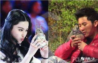 明星手机壳吃瓜,娱乐圈的“吃瓜神器”大揭秘