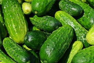 梦见人送瓜吃,瓜果飘香，共享美好时光