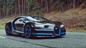 布加迪威龙吃瓜,瓜田试驾惊艳全场