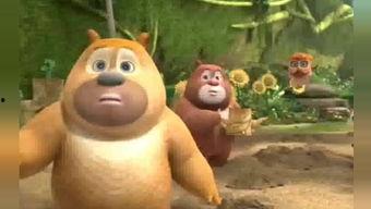 被熊吃瓜,一场与自然界的惊险邂逅