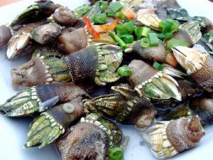 鱼螺塌房吃瓜,揭秘娱乐圈最新热点事件