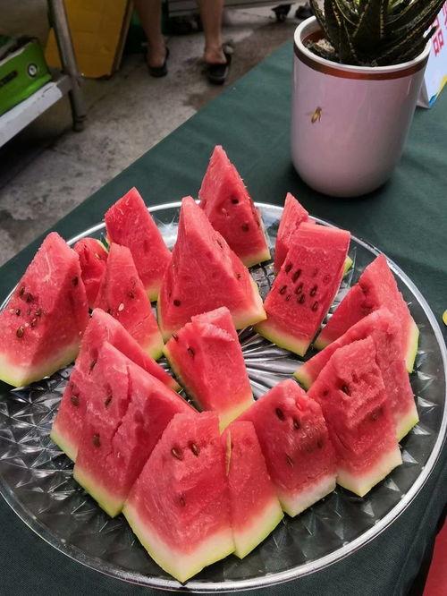 重庆主播吃瓜,趣味横生直播秀引网友热议