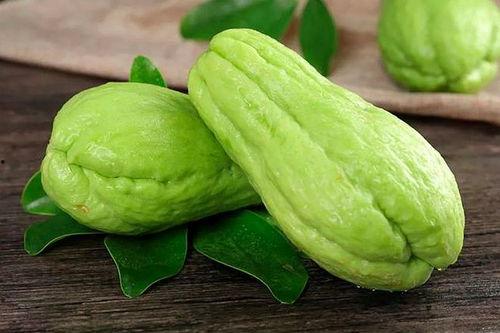 肺炎可以吃瓢瓜