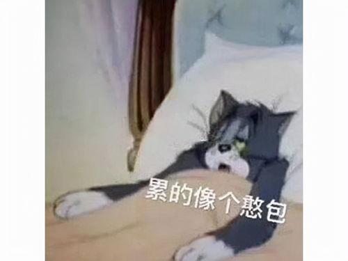 抱着老婆吃瓜表情包,笑翻朋友圈的温馨表情包