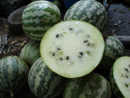 绿宝瓜孕妇可以吃么,孕妇适宜食用的健康瓜果