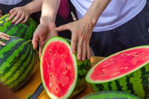 某大学吃瓜,一场舌尖上的狂欢