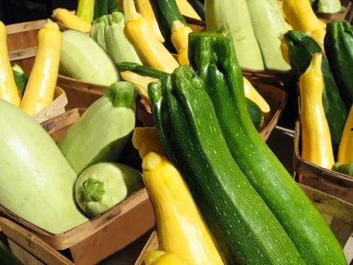 带你吃瓜化学,揭秘“带你吃瓜”背后的科学奥秘