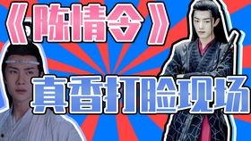 大型吃瓜神剧视频,揭秘幕后真相，带你领略娱乐圈风云变幻