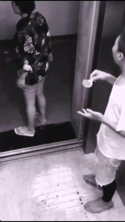 吃瓜群众的瓜没了视频,吃瓜群众目睹瓜消失之谜