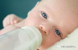 宝宝天天吃小乳瓜,营养健康两不误