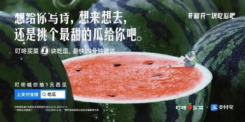 见面吃瓜文案,共享欢乐时光