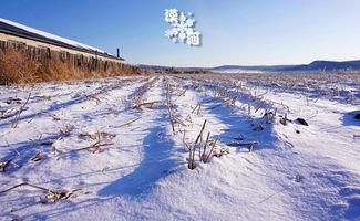 漠河文旅吃瓜,吃瓜之旅，探寻边陲小镇的独特风味