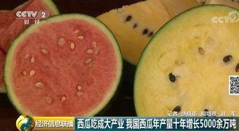 看中国吃瓜,揭秘娱乐圈背后的甜蜜与苦涩