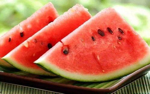 带你吃瓜的蜗牛,带你领略“吃瓜群众”蜗牛的独特魅力